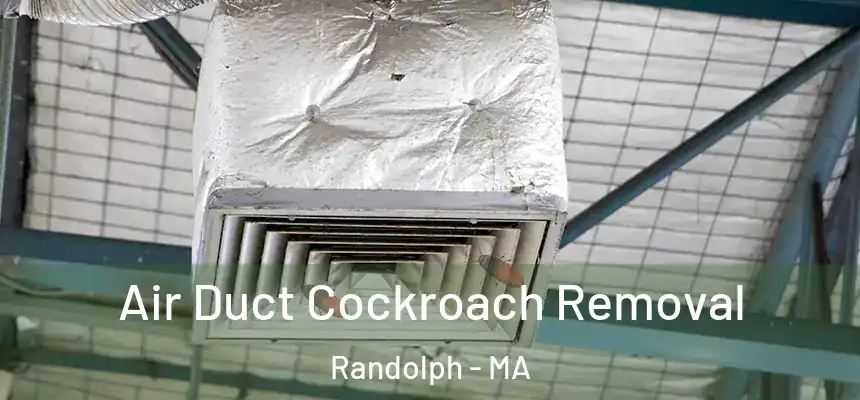  Air Duct Cockroach Removal Randolph - MA