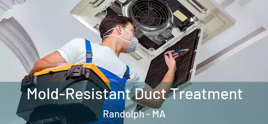  Mold-Resistant Duct Treatment Randolph - MA