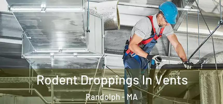 Rodent Droppings In Vents Randolph - MA