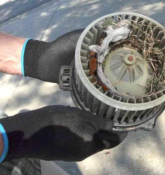 About Air Duct Mice Removal in Randolph, MA