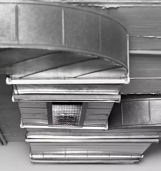 Professional Air Duct Pest Removal in Randolph, MA