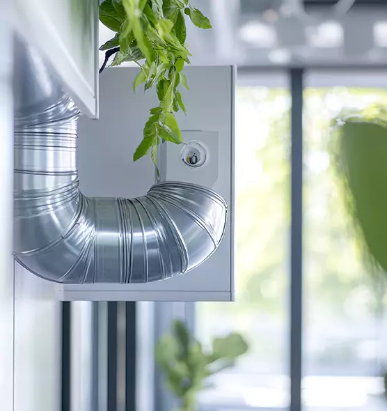 Professional Eco-Safe Dryer Vent Cleaning in Randolph, MA