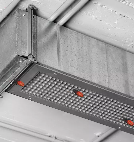 Affordable Insect Removal from Air Ducts in Randolph, MA