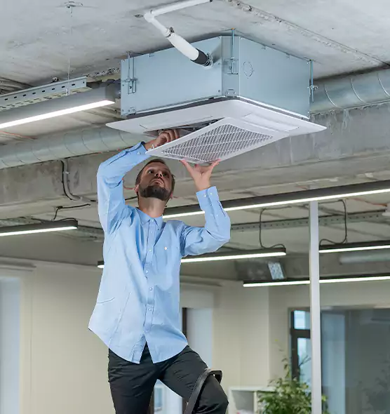 Advanced Rodent Droppings In Vents in Randolph, MA