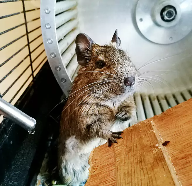 Why Homeowners & Businesses Trust Us Randolph, MA