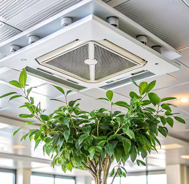 Why Homeowners & Businesses Trust Us in Randolph, MA?