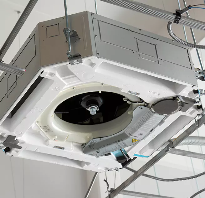 Why Homeowners & Businesses Trust Us in Randolph, MA?