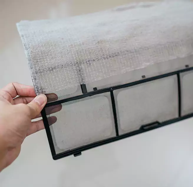 Why Homeowners & Businesses Trust Us in Randolph, MA?