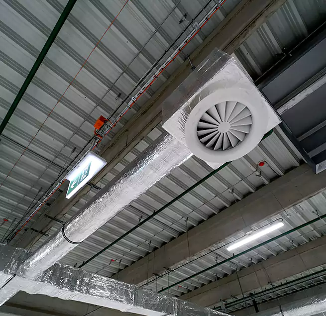 Why Homeowners & Businesses Trust Us in Randolph, MA