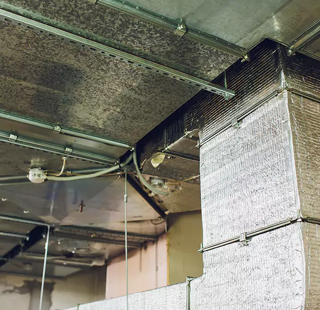 Why Homeowners & Businesses Trust Us in Randolph, MA?